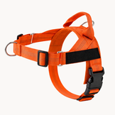 Harnais anti-traction pour chien OhPet