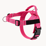 Harnais anti-traction pour chien OhPet