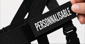 Ecussion personnalisé