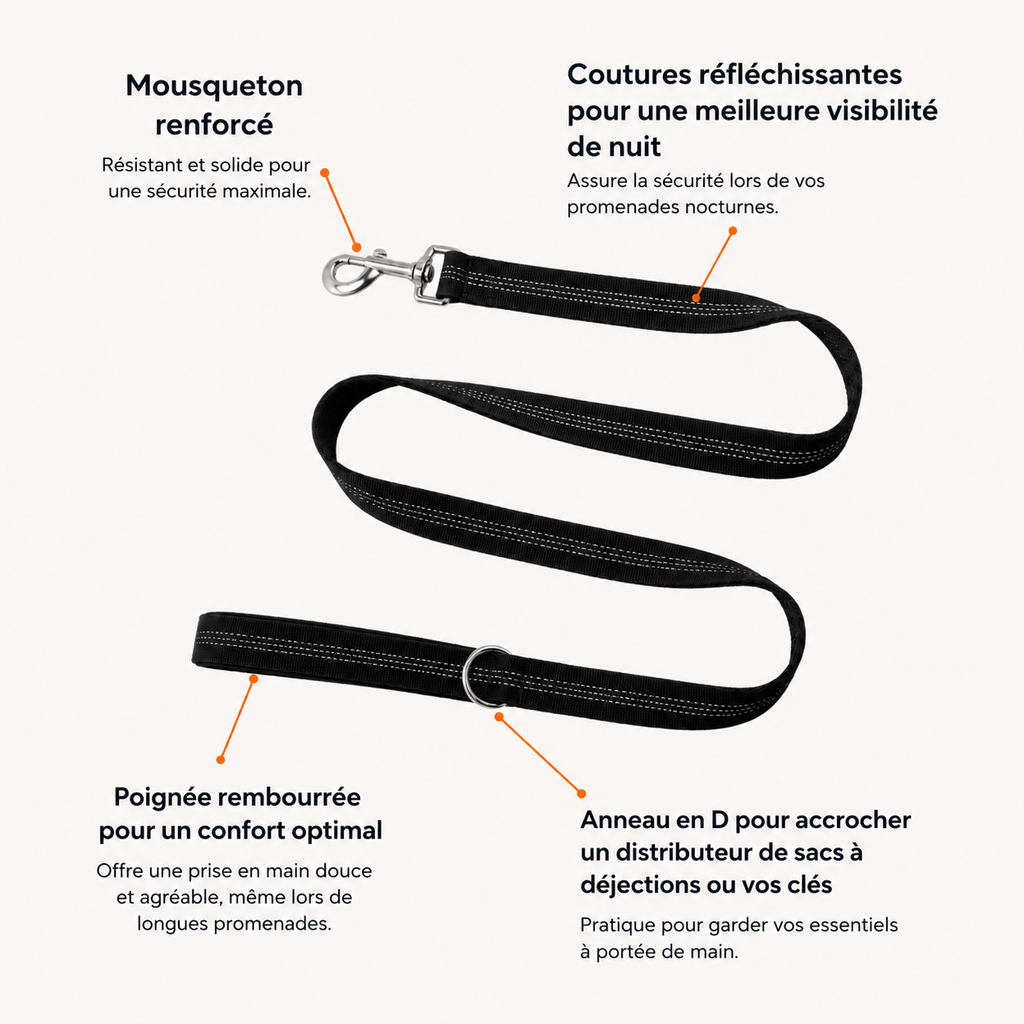 Laisse classique pour chien OhPet