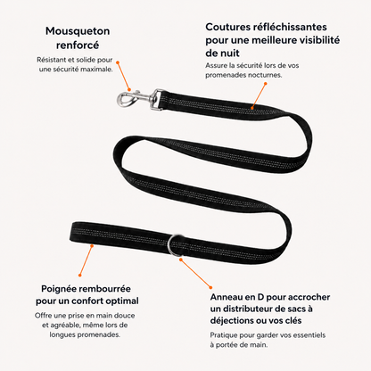 Laisse classique pour chien OhPet