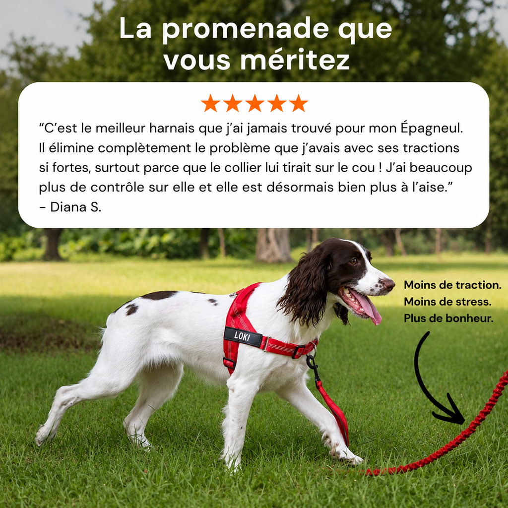 Harnais anti-traction pour chien OhPet