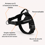 Harnais anti-traction pour chien OhPet