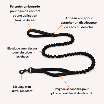 Harnais anti-traction pour chien OhPet
