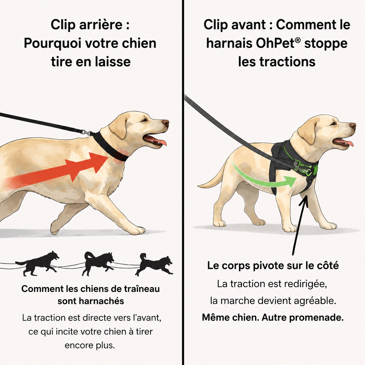 Harnais anti-traction pour chien OhPet