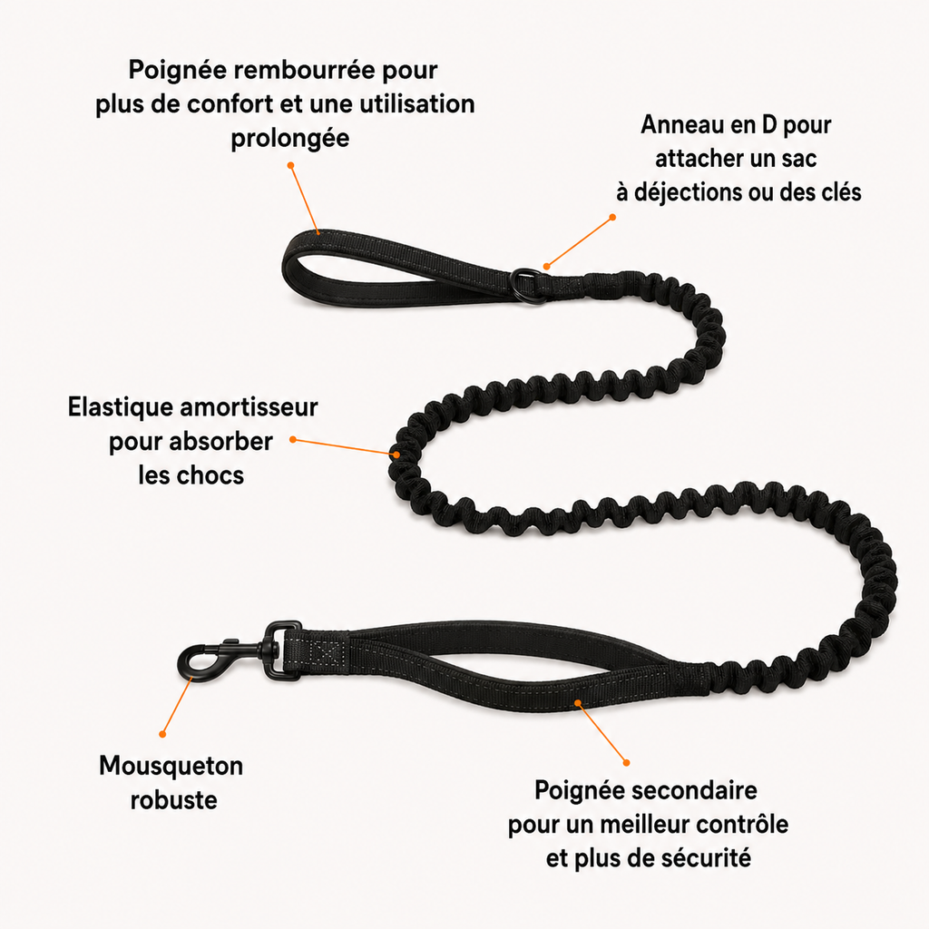 Laisse élastique pour chien OhPet
