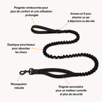 Laisse élastique pour chien OhPet