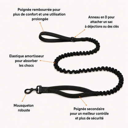 Laisse élastique pour chien OhPet