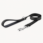Laisse classique pour chien OhPet