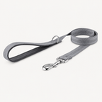 Laisse classique pour chien OhPet