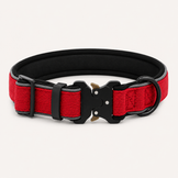Collier robuste OhPet