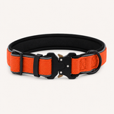 Collier robuste OhPet