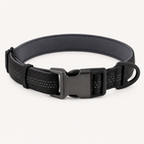 Collier pour chien OhPet Essentiels