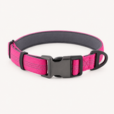 Collier pour chien OhPet Essentiels