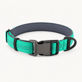 Collier pour chien OhPet Essentiels
