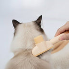 Brosse de toilettage OhPet
